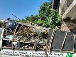 Best Basement Cleanout  in Kenilworth, NJ